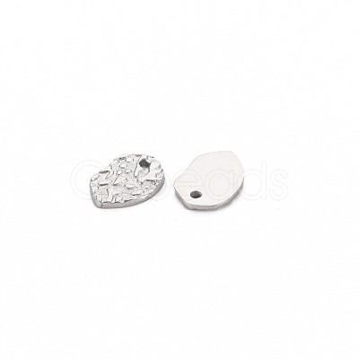 Non-Tarnish 304 Stainless Steel Charms STAS-N097-193P-1