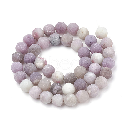 Natural Lepidolite/Purple Mica Stone Beads Strands G-T106-294-1