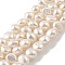 Natural Cultured Freshwater Pearl Beads Strands, Two Sides Polished, Grade 5A, PapayaWhip, 4~5mm, Hole: 0.5mm, about 39pcs/strand, 7.09''(18cm)