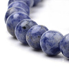 Natural Brazil Blue Spot Jasper Beads Strands X-G-S259-36-6mm-3