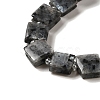 Natural Larvikite Beads Strands G-L596-A16-01-4