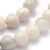 Natural White Crazy Lace Agate Beads Strands G-G763-11-6mm-3