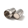 Tarnish Resistant 304 Stainless Steel Magnetic Clasps with Glue-in Ends STAS-K006-09C-5mm-4