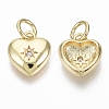 Brass Micro Pave Cubic Zirconia Charms ZIRC-R109-039-NF-1