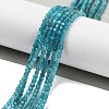 Natural Blue Apatit Beads Strands G-H042-B12-01B-2