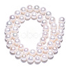 Natural Cultured Freshwater Pearl Beads Strands PEAR-N016-08A-4