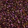 Spray Painted Glass Seed Beads SEED-F005-02A-02-3