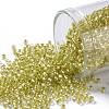 TOHO Round Seed Beads SEED-TR11-0295-1