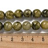 Natural Green Tourmaline Beads Strands G-B099-C05-05-5