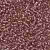 TOHO Round Seed Beads X-SEED-TR08-0026-2
