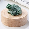 Natural Qinghai Jade Carved Healing Frog Figurines PW-WG28161-03-1