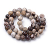 Natural Zebra Jasper Beads Strands G-S259-30-10mm-2