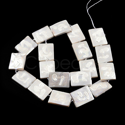 Plating Natural Freshwater Shell Beads Strands SHEL-N026-222-1