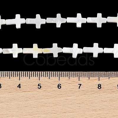 Natural Freshwater Shell Beads Strands BSHE-G036-05A-1