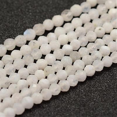 Natural Rainbow Moonstone Beads Strands G-F460-44-1