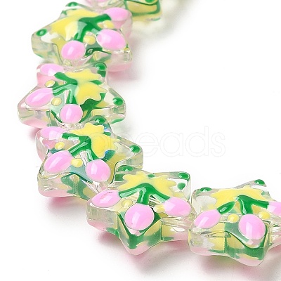 Handmade Lampwork Beads Strands LAMP-K037-15F-1