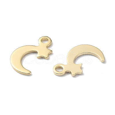 60Pcs 12 Style 304 & 201 Stainless Steel Charms STAS-FS0001-40-1