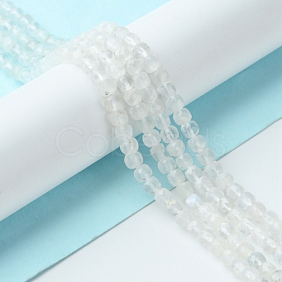 Natural Rainbow Moonstone Beads Strands G-F748-Z01-02-1