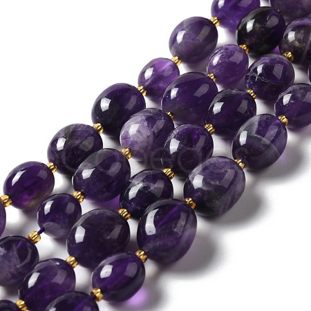 Natural Amethyst Beads Strands G-B028-B10-1