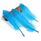 Feather Ornament Accessories, for DIY, Dodger Blue, 150~200mm