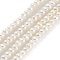 Natural Cultured Freshwater Pearl Beads Strands, Potato, Floral White, 2~2.5mm, Hole: 0.5mm, about 90pcs/strand, 7.80~7.95 inch(19.8~20.2cm)