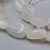 Natural White Moonstone Beads Strands G-L493-63-2