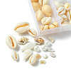 6 Styles Natural Mixed Shell Beads BSHE-FS0001-04-4