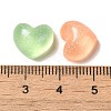 Transparent Resin Decoden Cabochons with Glitter Powder RESI-E053-08C-3