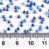 8/0 Glass Seed Beads X1-SEED-A015-3mm-2208-4