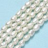 Natural Cultured Freshwater Pearl Beads Strands PEAR-J006-09A-2