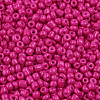 Baking Paint Glass Seed Beads SEED-S002-K24-2
