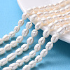 Natural Cultured Freshwater Pearl Beads Strands PEAR-S012-41C-1