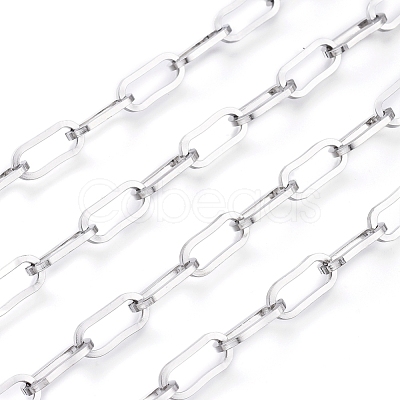 Non-Tarnish 3.28 Feet 304 Stainless Steel Paperclip Chains X-CHS-D030-02P-1