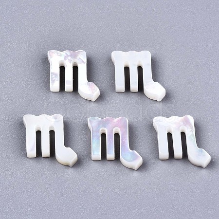 Natural White Shell Beads X-SSHEL-ZX004-02B-1