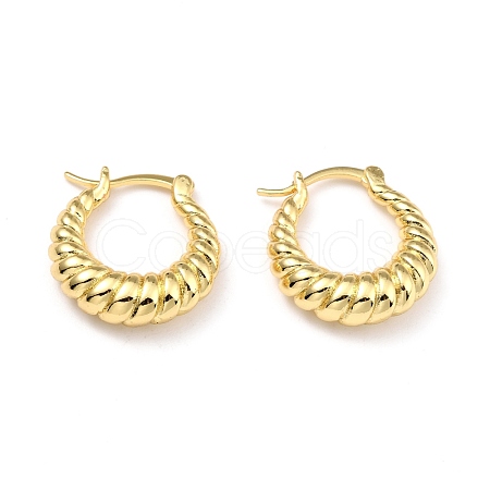 Brass Hoop Earrings EJEW-D273-02G-1