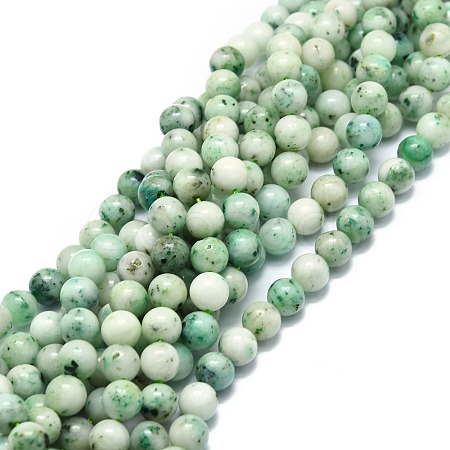 Natural Chrysocolla Beads Strands G-E576-04B-1