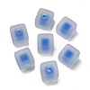 Frosted Acrylic European Beads OACR-G012-14E-1