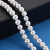 Natural Keshi Pearl Beads Strands PEAR-S020-F02-5