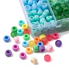 810Pcs 18 Style Opaque & Transparent Plastic Beads KY-YW0001-44-2