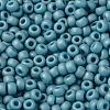 MIYUKI Round Rocailles Beads SEED-JP0009-RR2029-3