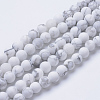 Natural Howlite Beads Strands G-T055-10mm-02-1