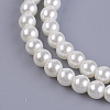 Eco-Friendly Dyed Glass Pearl Beads Strands HY-A008-6mm-RB002-3