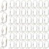 SOFPLATE 200Pcs Brass Leverback Earring Findings KK-SP0001-04P-1