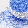 12/0 Grade A Round Glass Seed Beads X-SEED-Q011-FM-2