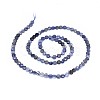 Natural Iolite Beads Strands G-I249-A04-2