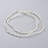 Electroplated Glass Beads Strands EGLA-H100-FR02-3