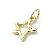 Brass Charms KK-H475-38G-01-2