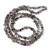 Natural Ice Obsidian Beads Strands G-G0003-B03-3