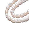 Natural Cultured Freshwater Pearl Beads Strands PEAR-N012-03C-4