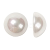 Shell Pearl Beads X-BSHE-N003-12mm-HC301-1